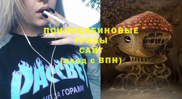 Альфа ПВП Ладушкин