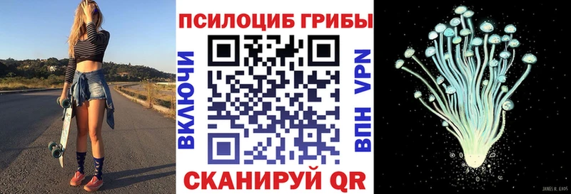 Псилоцибиновые грибы MAGIC MUSHROOMS  Мглин 